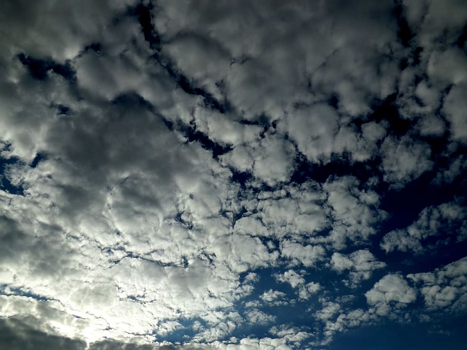cloud, sky, fluffy, white, blue, cloud - sky, beauty in nature HD wallpaper