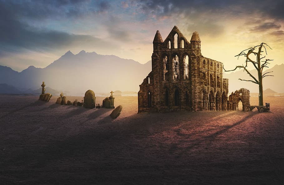 gray concrete house beside tree, image manipulation, ruin, graves HD wallpaper