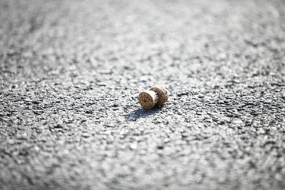 cork, champagne, plug, asphalt, selective focus, animal wildlife HD wallpaper