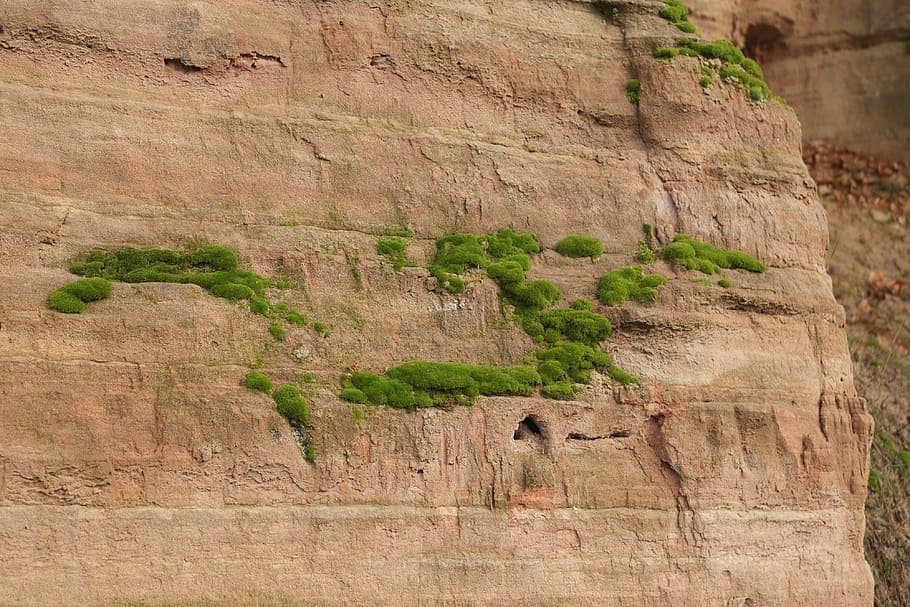 Sandstone, Moss, Freestone, Dosh, Bog, nature, rock - Object HD wallpaper
