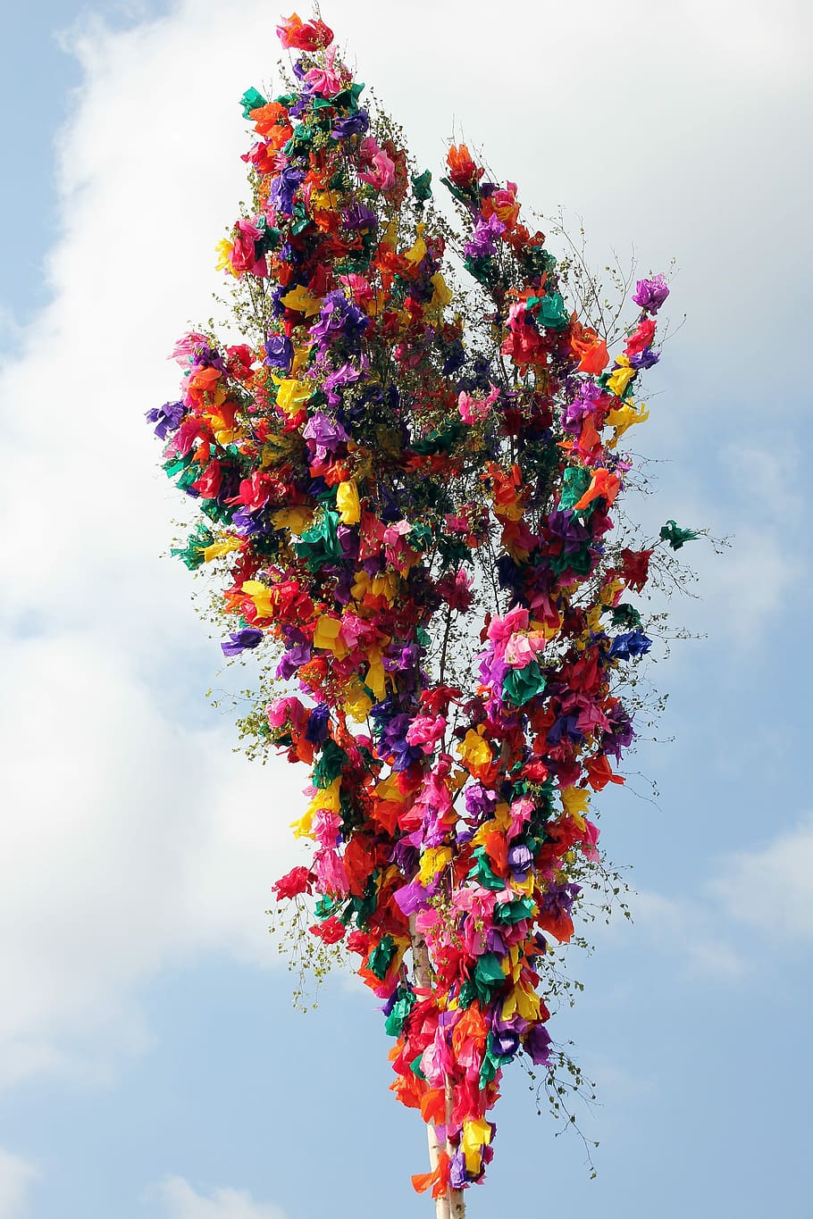 Maypole, Tradition, Spring, Customs, decorated, decorated tree HD wallpaper
