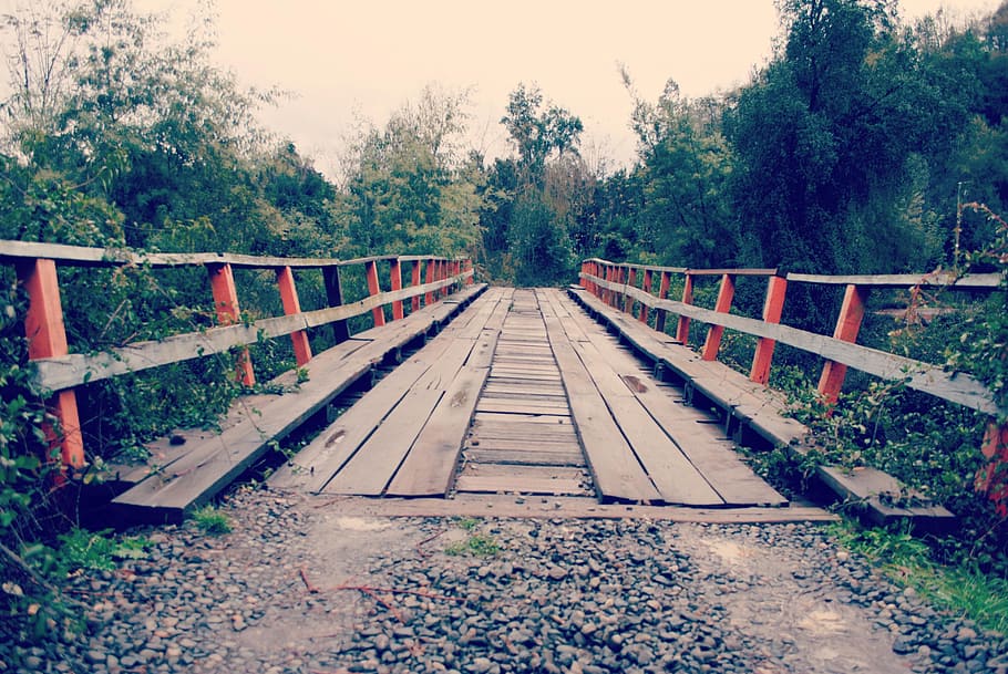 river, landscape, water, bridge, plant, tree, the way forward HD wallpaper