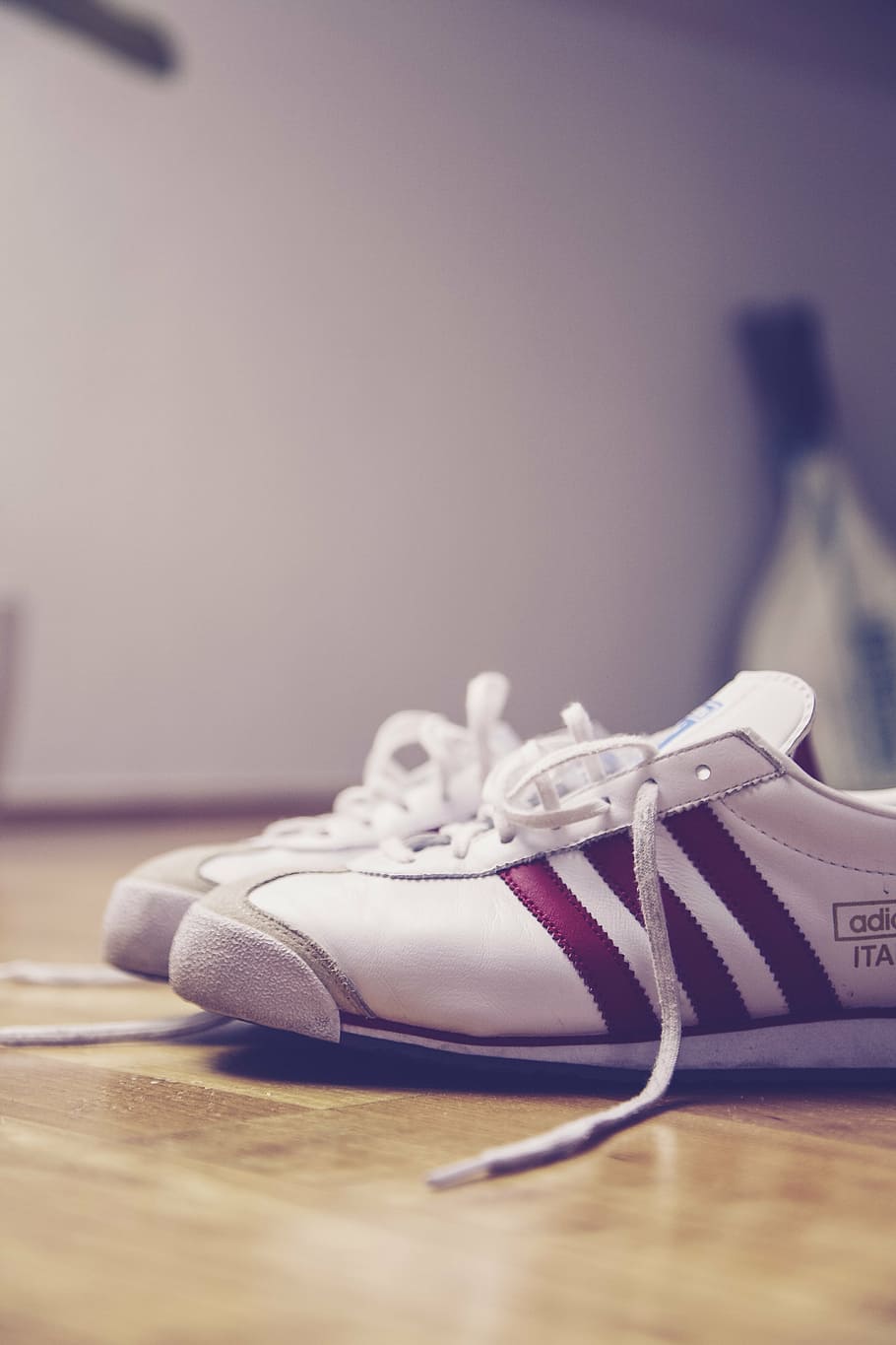 pair of white adidas sneakers on surface, shoes, shoelace, shop, HD wallpaper