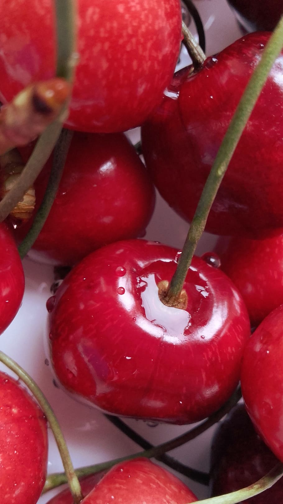 cherry, cherries, fruit, eating, fruit growing, sad, healthy HD wallpaper