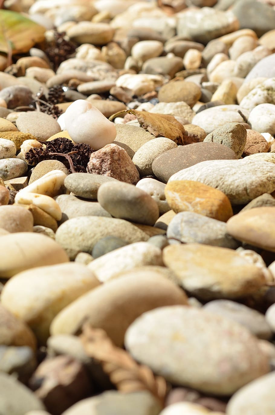 close photography of assorted pebble stone, stones, pebbles HD wallpaper