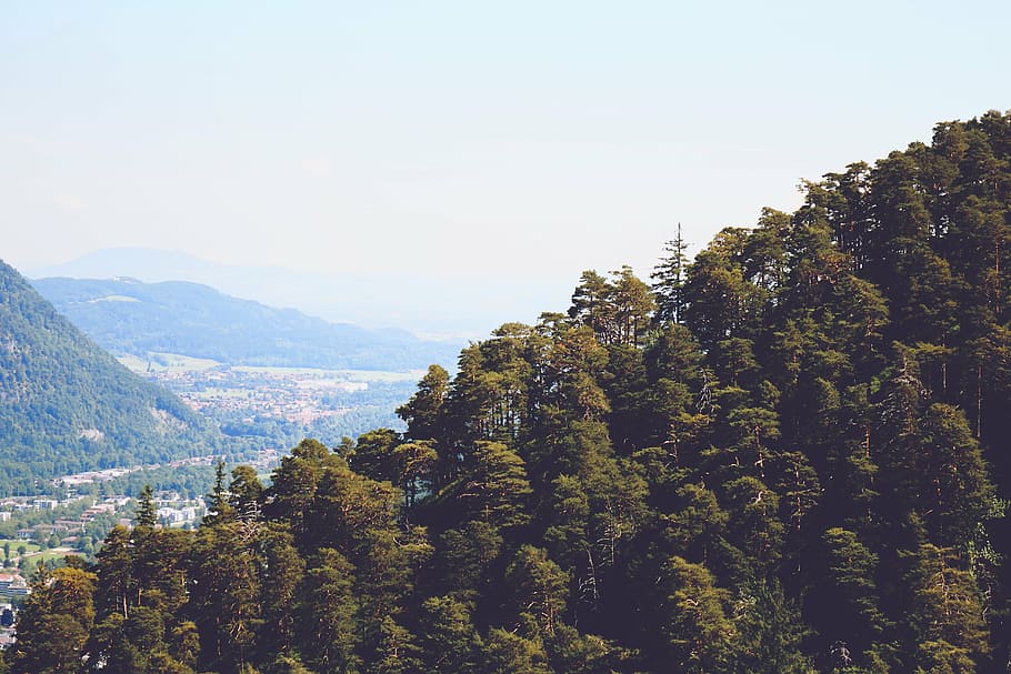 mountain, trees, view, slope, sky, plant, beauty in nature HD wallpaper