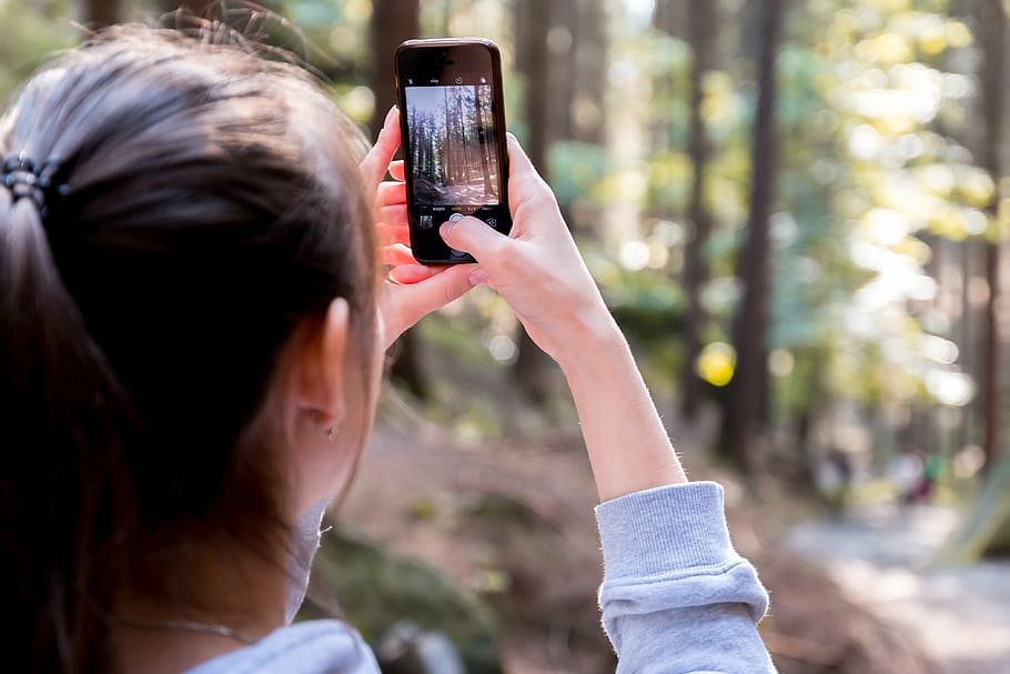 woman taking photo on trees, blur, cellphone, close-up, device HD wallpaper