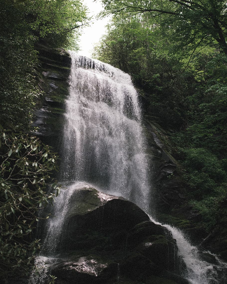 water falling above, waterfalls beside green leafed trees during daytime HD wallpaper