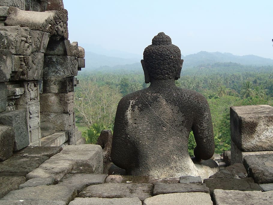 buddha, overlook, java, architecture, built structure, religion HD wallpaper