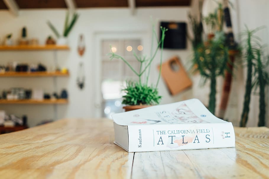 Atlas book on table surface, Atlas book on top brown wooden table HD wallpaper