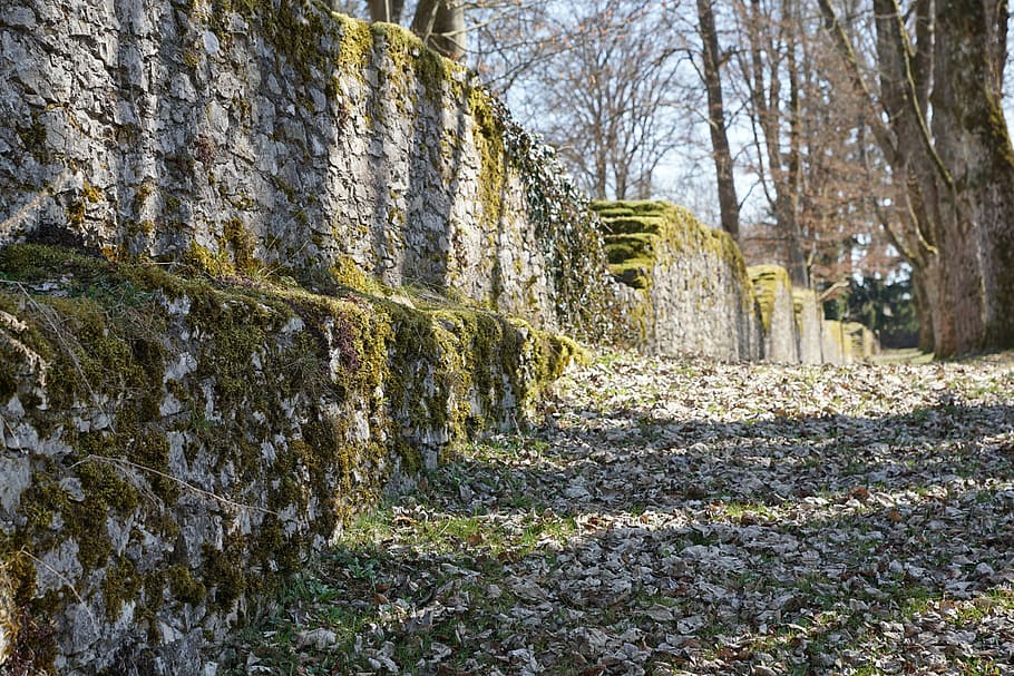 ruin, wall, park, castle, honing mountain, tuttlingen, germany HD wallpaper
