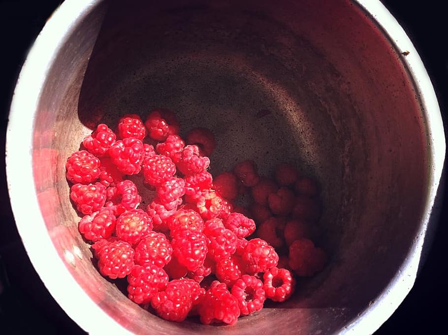 raspberries, summer, red, food and drink, berry fruit, bowl HD wallpaper