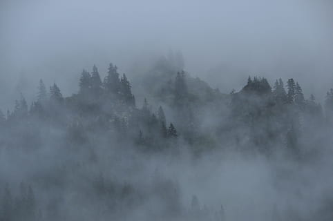 foggy mountain, clouds, mountains, forest, nature, landscape HD wallpaper
