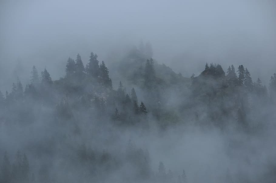foggy mountain, clouds, mountains, forest, nature, landscape HD wallpaper