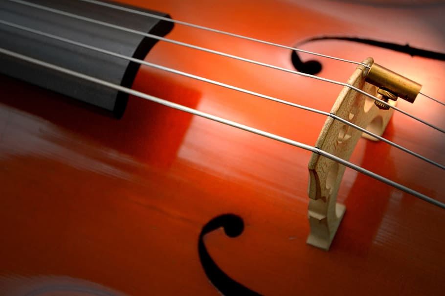 brown violin, cello, strings, stringed instrument, wood, classical music, HD wallpaper
