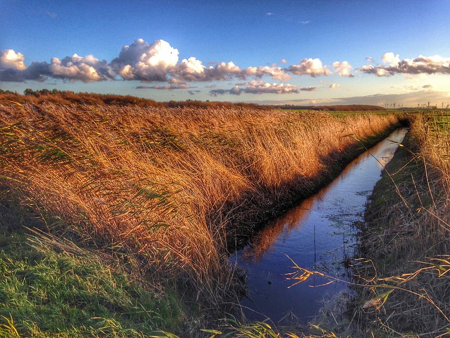 Marsh, Cuxhaven, Romance, Sunset, Reed, water, abendstimmung HD wallpaper