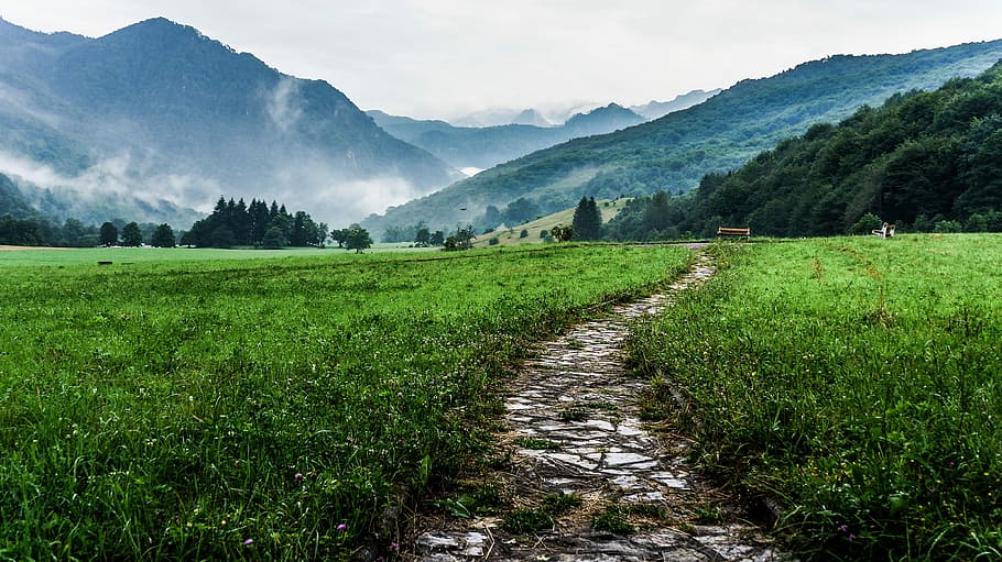 gray and white pathway between green plants on vast valley, green grass field with mountains HD wallpaper