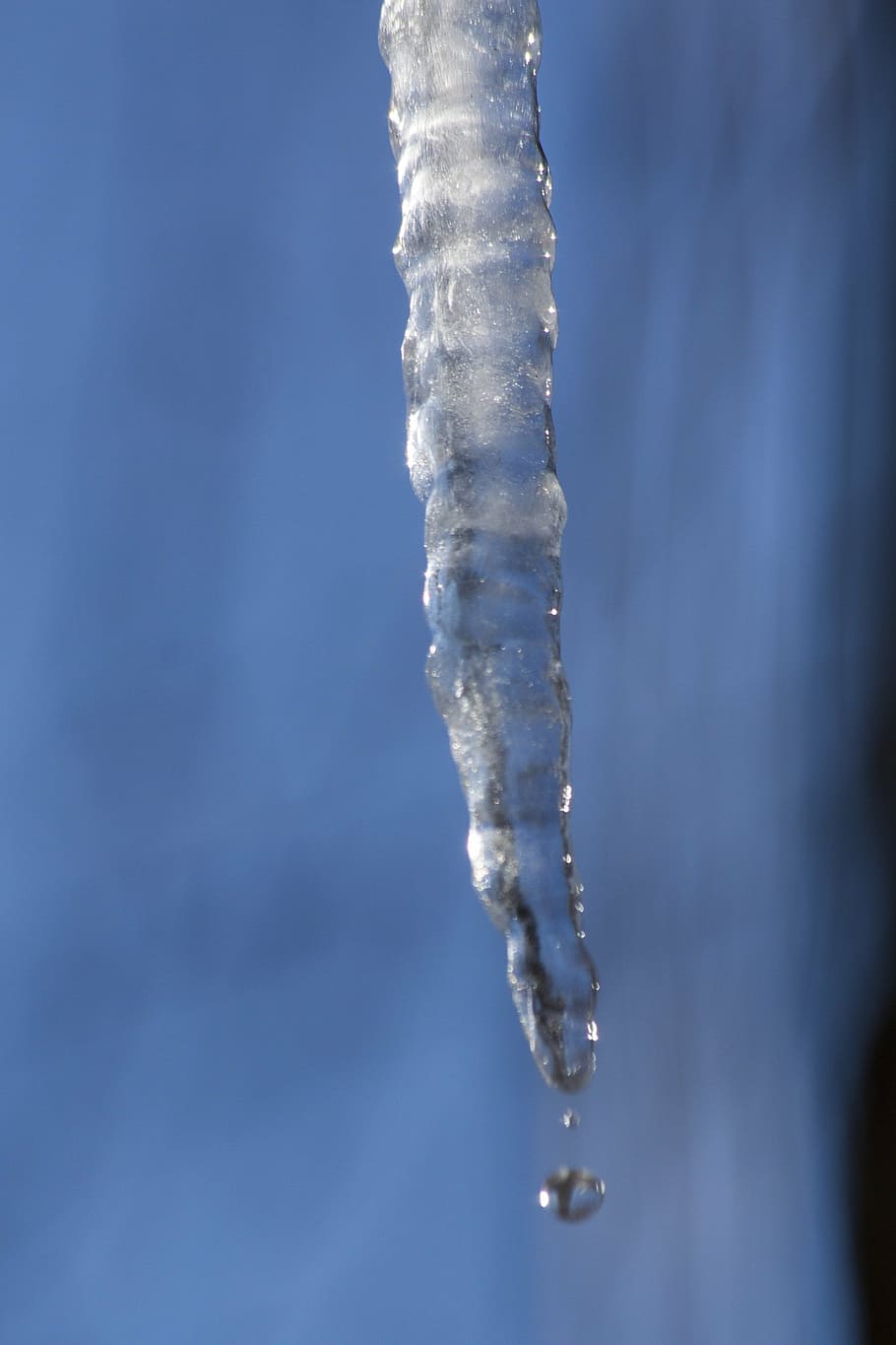 ice, icicle, cold, winter, roof, white, blue, frost, snow, frozen HD wallpaper