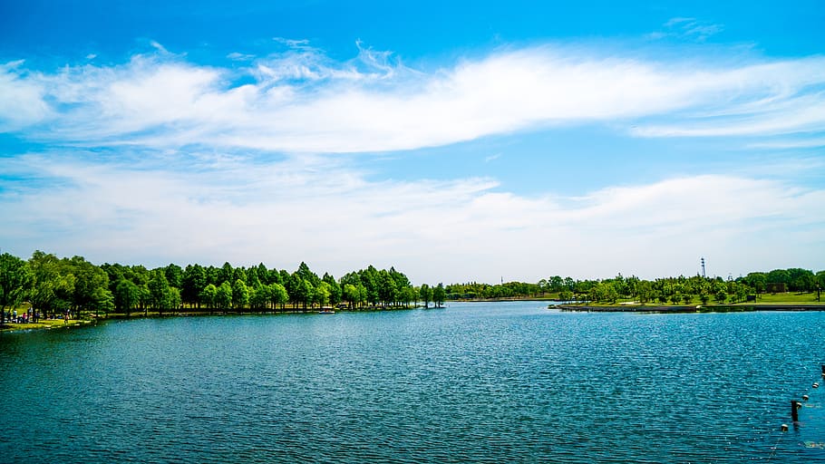 park, lake, water, clouds, tree, sky, cloud - sky, plant, beauty in nature HD wallpaper