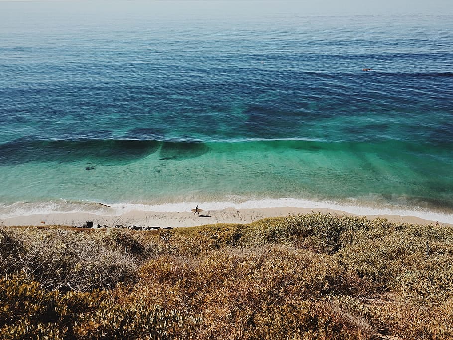beach, surfer, ocean, sea, transparent, water, fresh, clear HD wallpaper