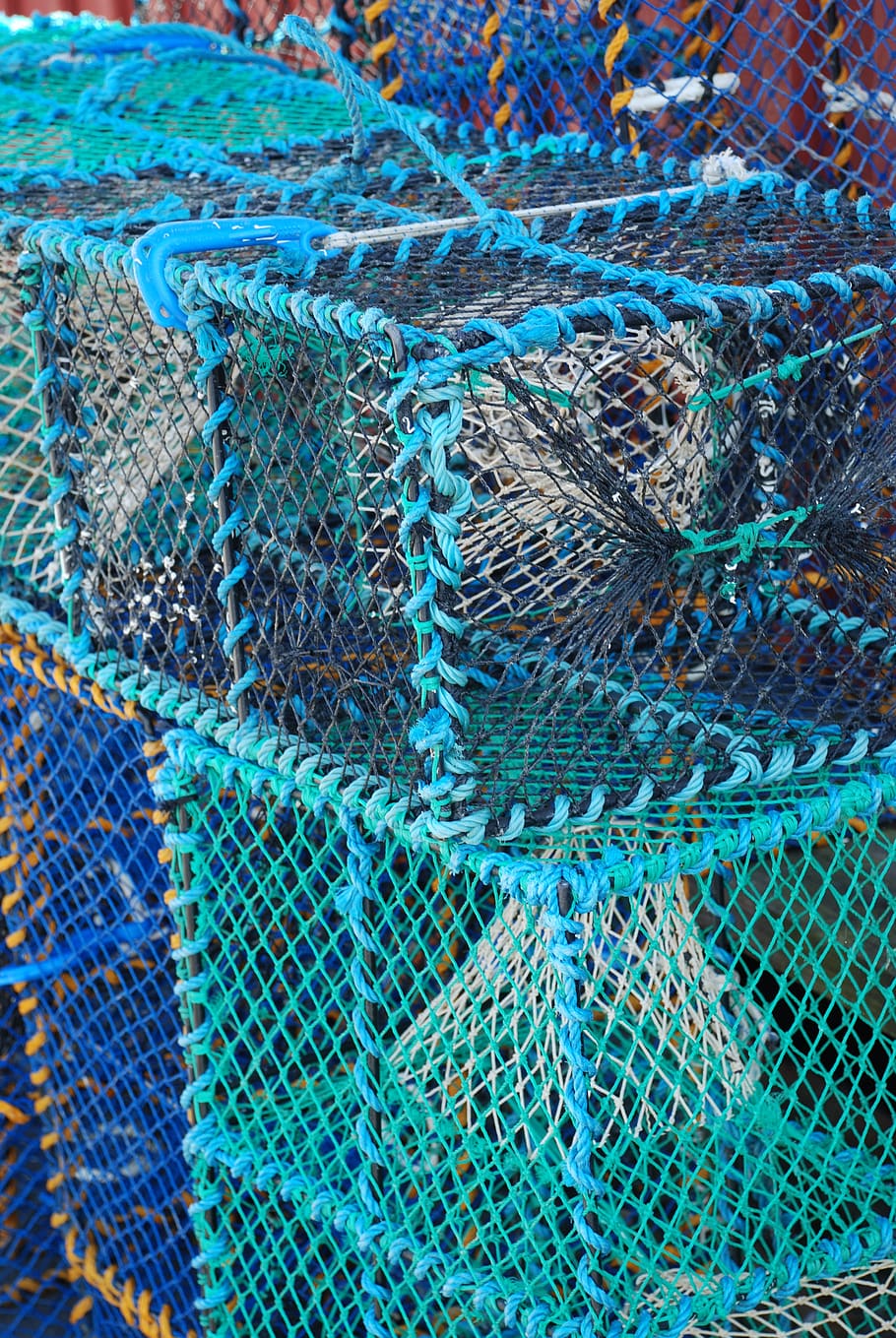 cages, color, fishing, full frame, backgrounds, fishing industry, HD wallpaper