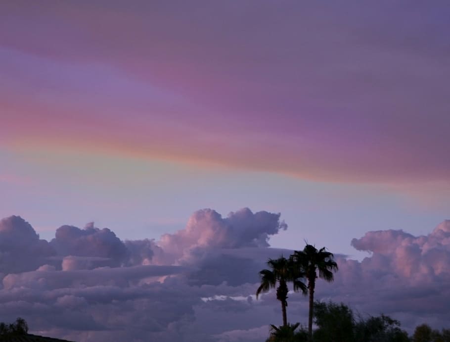 clouds, palm, trees, at night, landscape, sky, nature, sun HD wallpaper