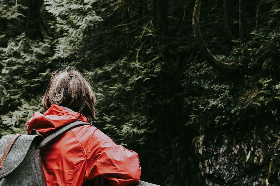 girl leaning on rail facing the forest, woman wearing jacket and backpack looking at trees HD wallpaper