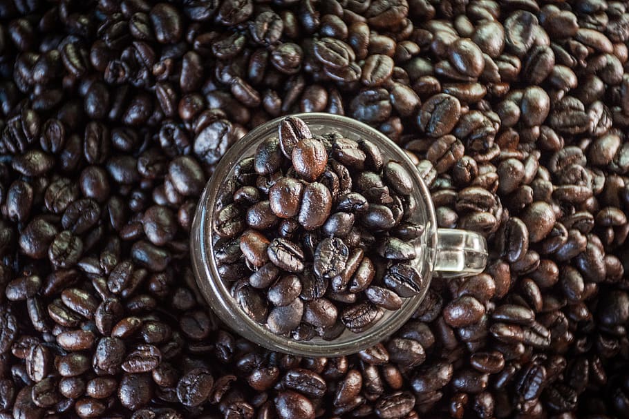 coffee, coffee bean, the process, beverage, delicious, sweet HD wallpaper