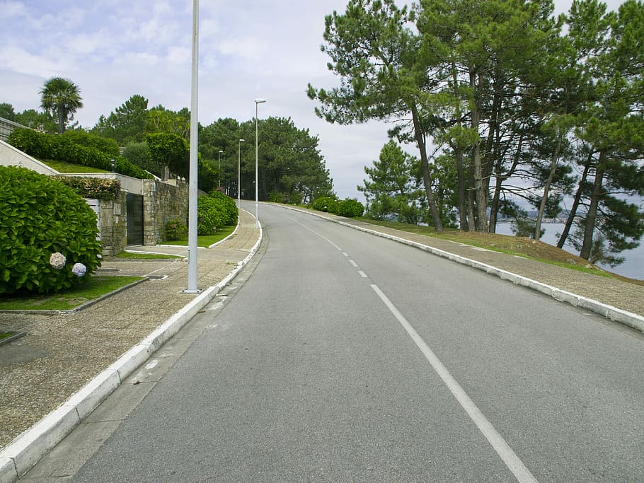 Road, Path, park, tree, asphalt, the way forward, day, cloud - sky HD wallpaper