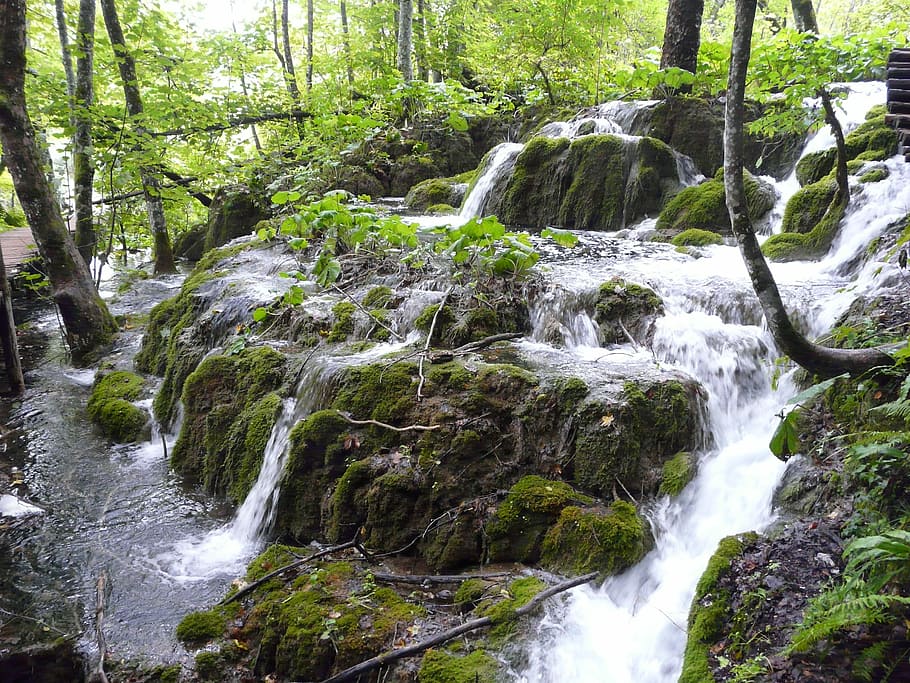 Waterfall, Nature, Croatia, Flow, Forest, stone, waters, plitvice lakes HD wallpaper