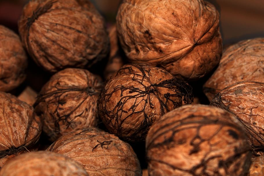 nut, food, walnut, nutshell, healthy, fruit, seed, dry, sweet HD wallpaper