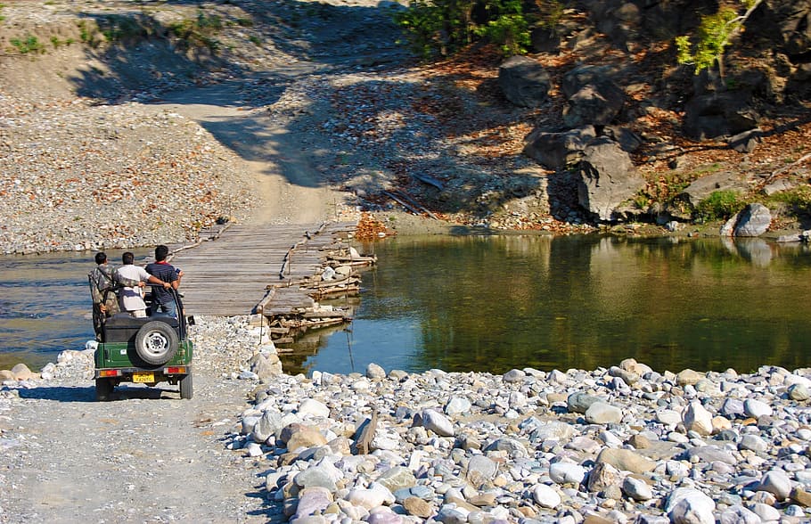 scene, water, trees, jeep, safari, holiday, travel, landscape HD wallpaper