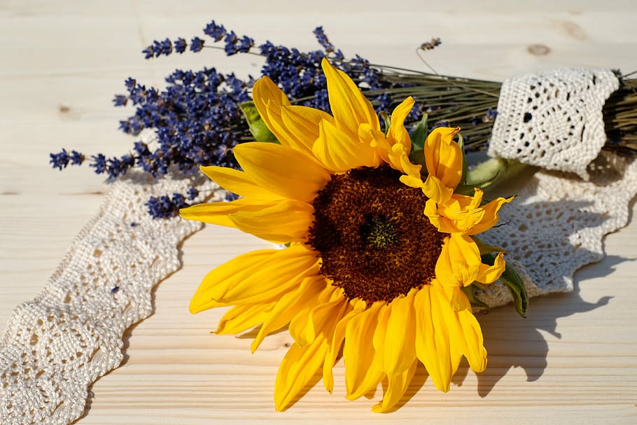 yellow sunflower on beige wooden surface, sun flower, blossom HD wallpaper