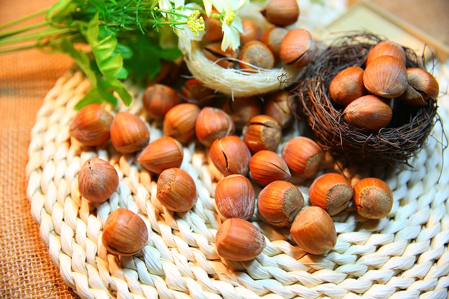 bunch of hazel nuts, hazelnut, protein, food, food and drink