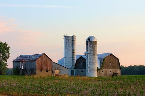 farm, barn, silo, corn, sunset, sky, grass, nature, country HD wallpaper