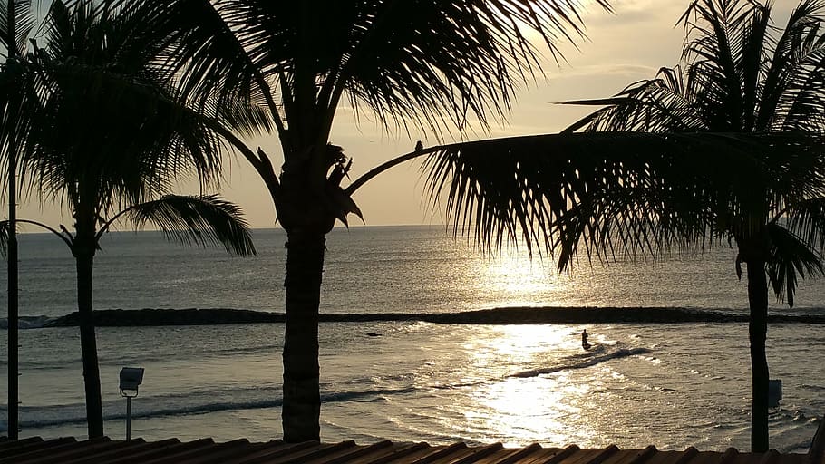 bali, sunset, palm trees, water, sea, silhouette, beauty in nature HD wallpaper