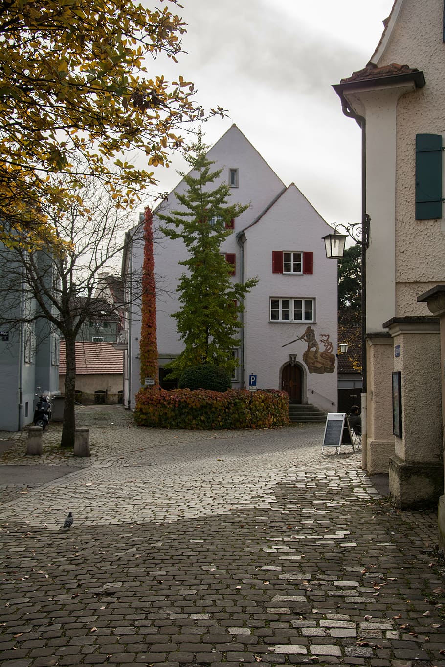 lindau, road, autumn, trees, allgäu, building exterior, built structure HD wallpaper