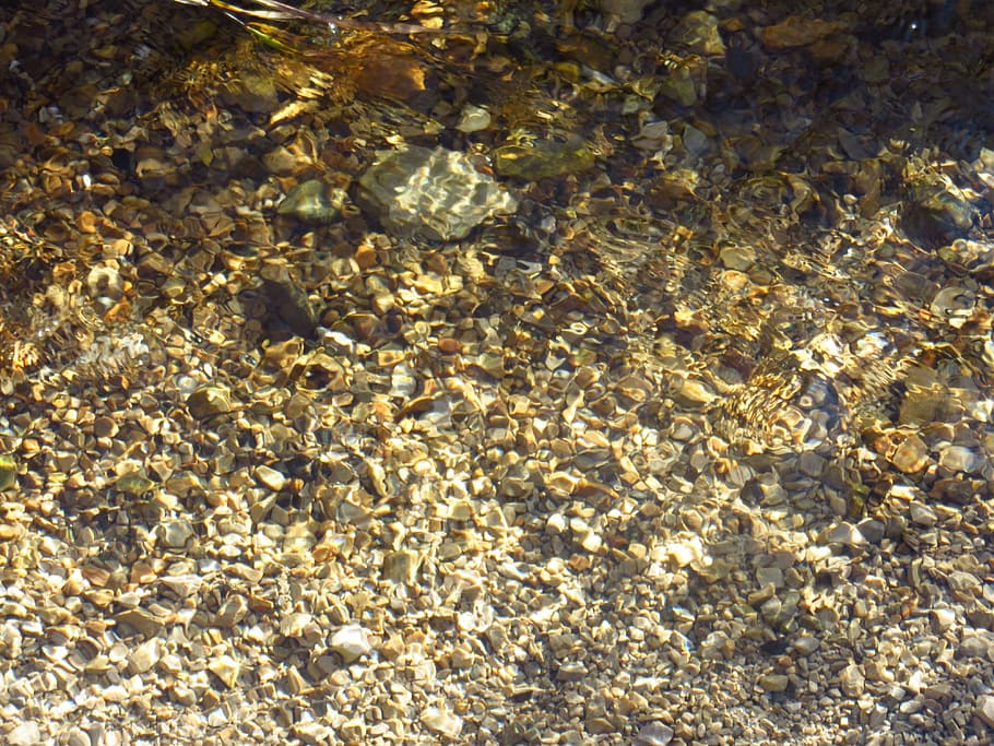 pebble, bach, stream bed, water, flow, clear, transparent, nature HD wallpaper