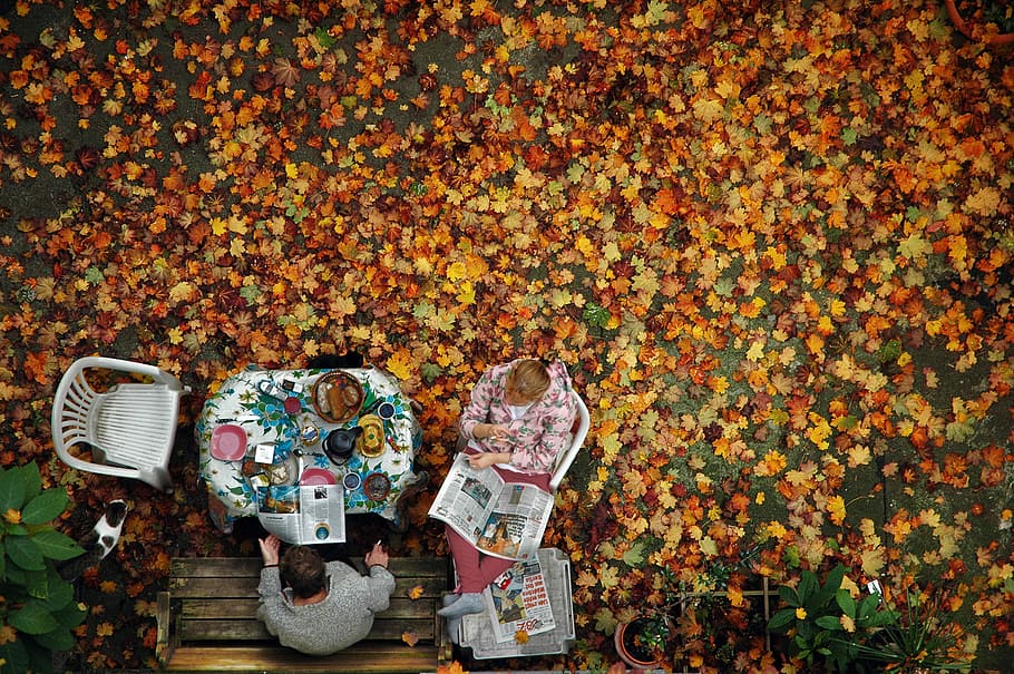 two person sitting on chairs, aerial photography of man and woman sitting on bench near brown leaf covered floor HD wallpaper