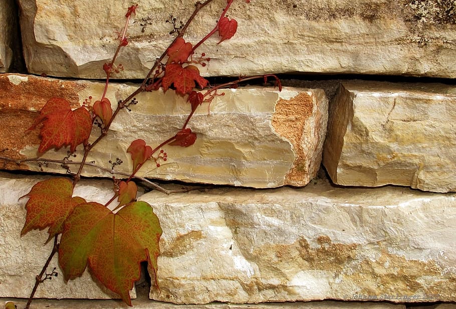 wall, masonry, old, natural stones, natural stone wall, wall - building feature HD wallpaper
