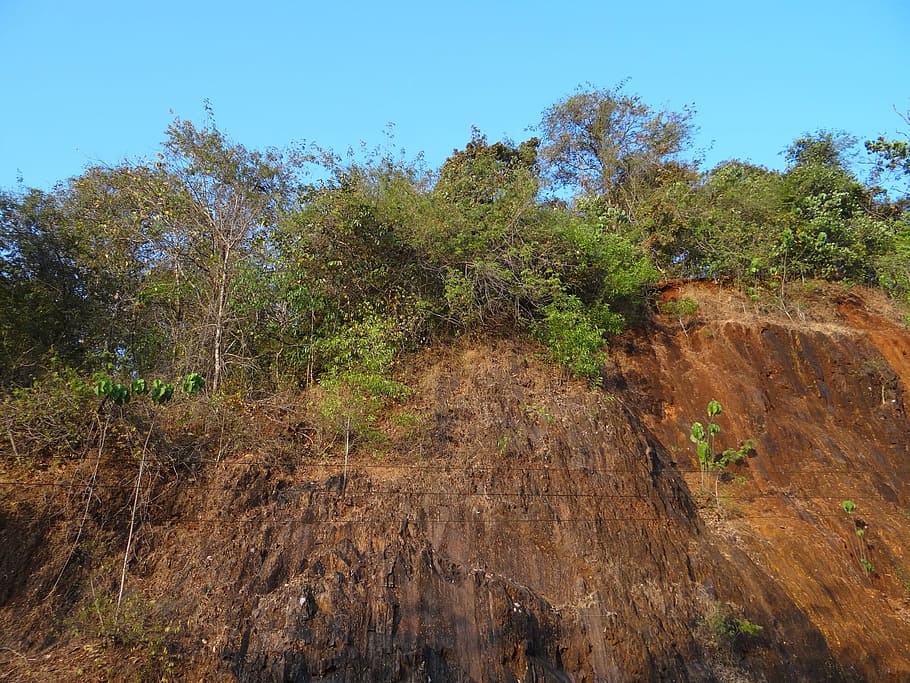 Trees, Western Ghats, India, cliff, sky, landscape, wilderness