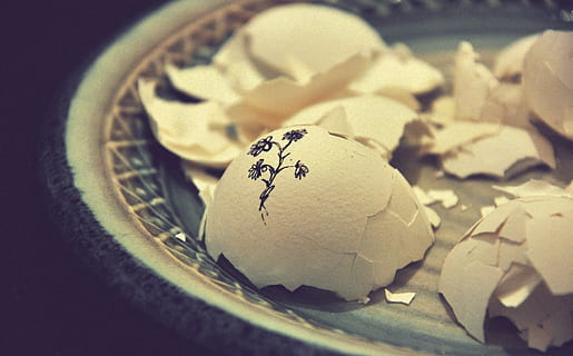 art, blur, broke, broken eggs, ceramic plate, close-up, cracked HD wallpaper