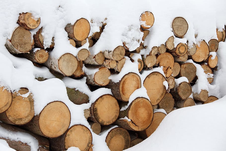 pile of firewoods covered with snow, material, cut, log, winter HD wallpaper