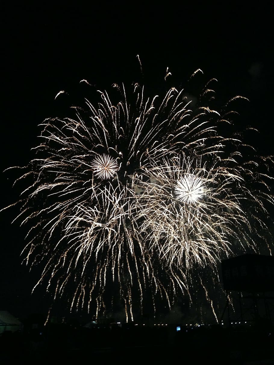 fireworks, night, summer, celebration, exploding, firework Display HD wallpaper