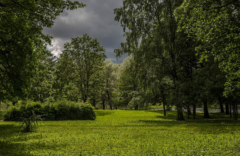 Before The Storm, Before The Rain, landscape, park, clouds, beauty, HD wallpaper