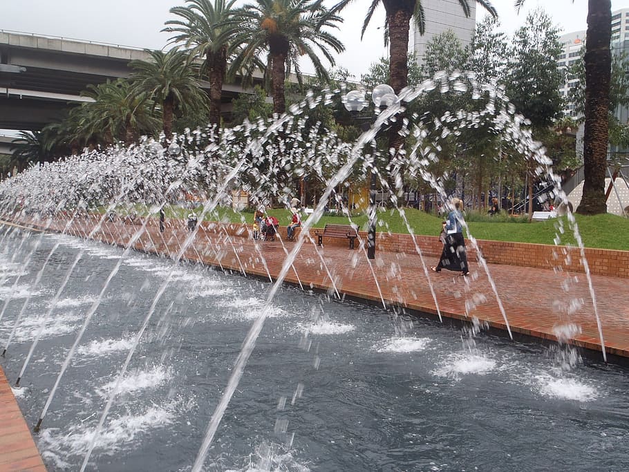 fountain, water, water feature, sydney, real people, tree, plant HD wallpaper