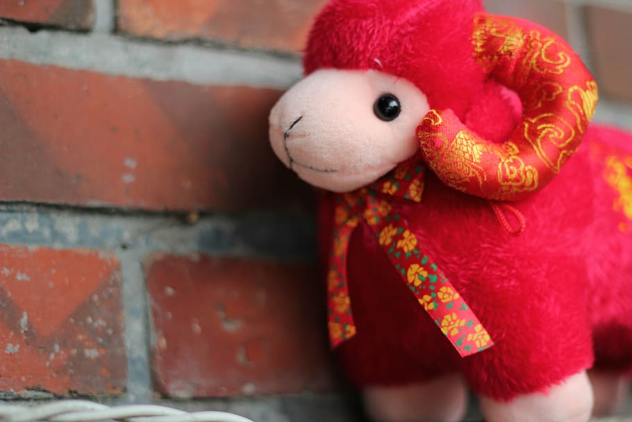 plush toys, small fresh, sheep, representation, stuffed toy HD wallpaper