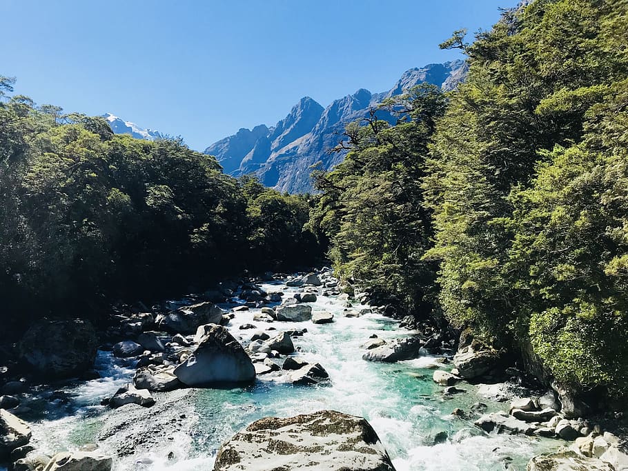 nature, water, rock, mountain, landscape, tree, beauty in nature HD wallpaper