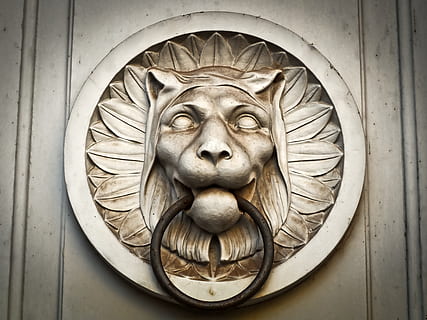 photo of brown lion door knocker, gray, lion head, doorknocker HD wallpaper