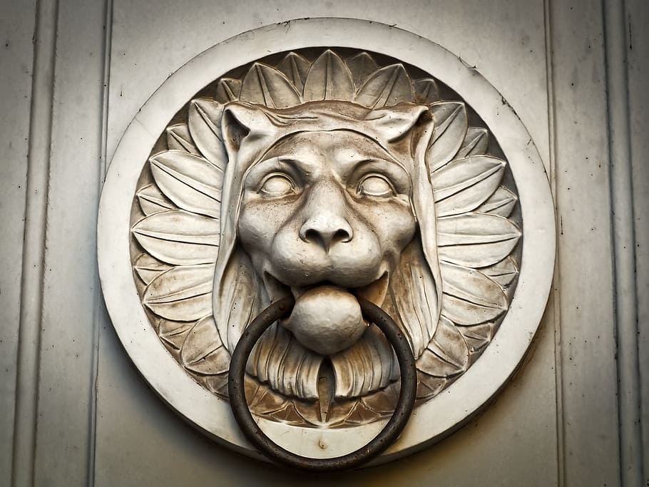 photo of brown lion door knocker, gray, lion head, doorknocker HD wallpaper